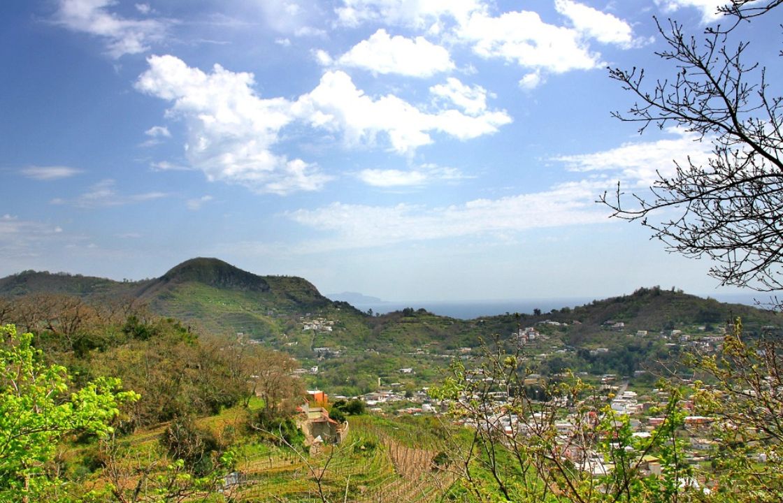 Paesaggi collinari